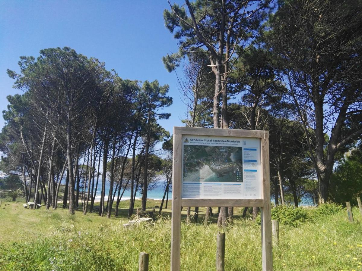 Aticos Con Terraza Vistas Urbanos 100 Playa Lejlighed Sanxenxo Eksteriør billede